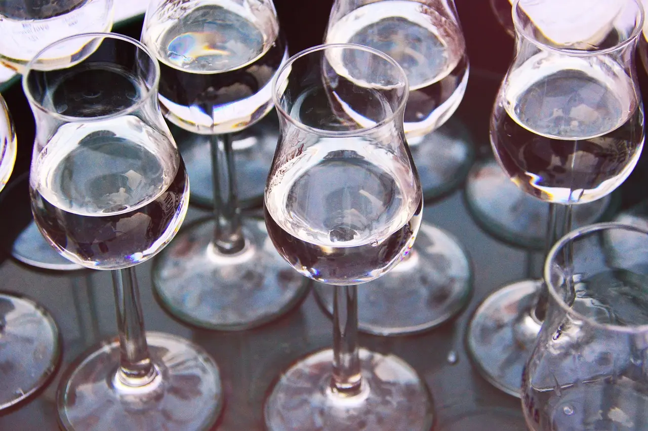 [PV.2301.B5] Cherry Brandy / Organic / 5L