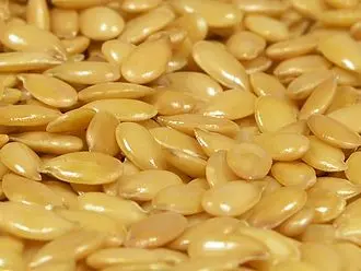 [PV.1304.RP] Flaxseed gold / organic / 200g