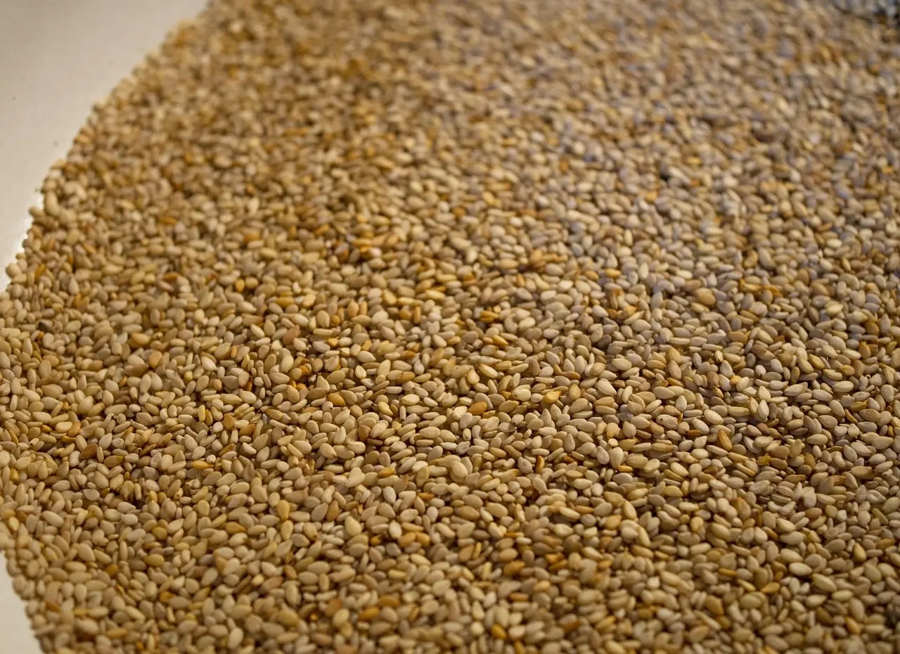 [PV.1305.RP1] Sesame seeds unhulled / organic / 1kg