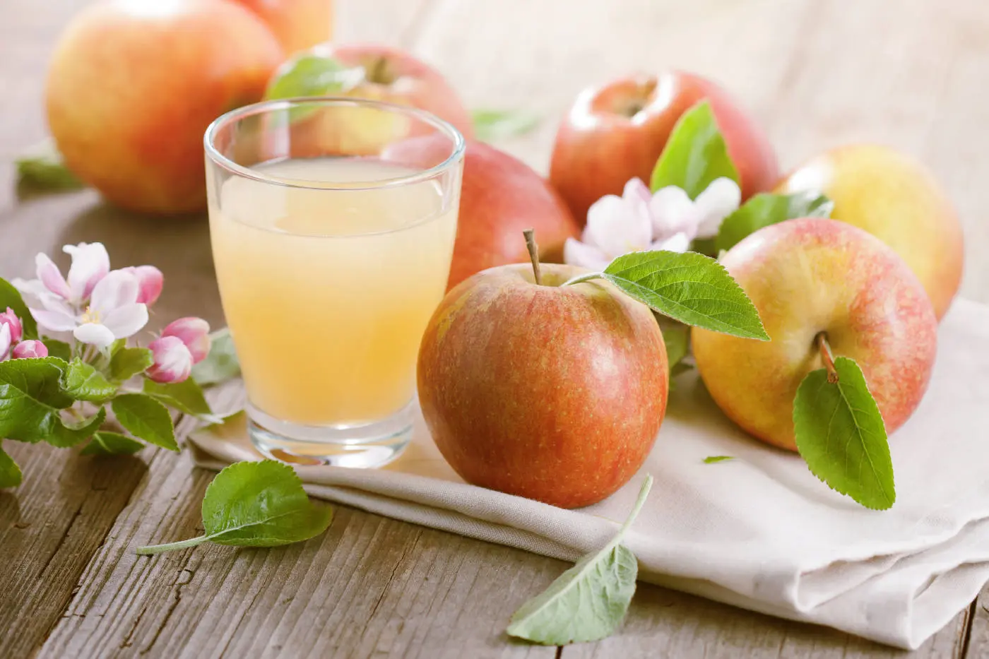 [PV.2101.RP1] Cloudy apple cider vinegar / organic / 1L