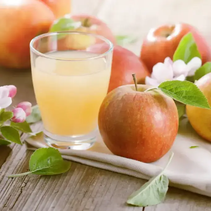 [PV.2101.B10] Cloudy apple cider vinegar / organic / 10L