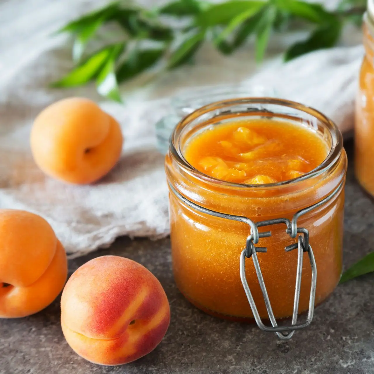 [PV.2118.RG] Apricot jam with cane sugar / Organic / 3kg