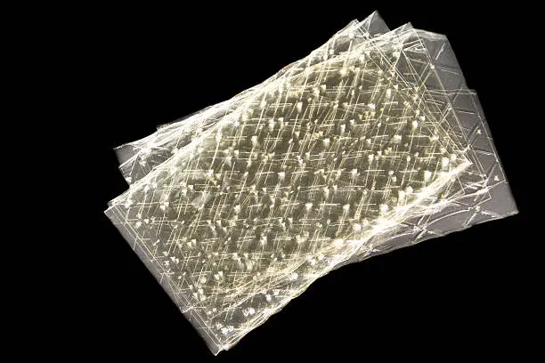 [PV.2143.B1] Leaf gelatin / organic / 1kg