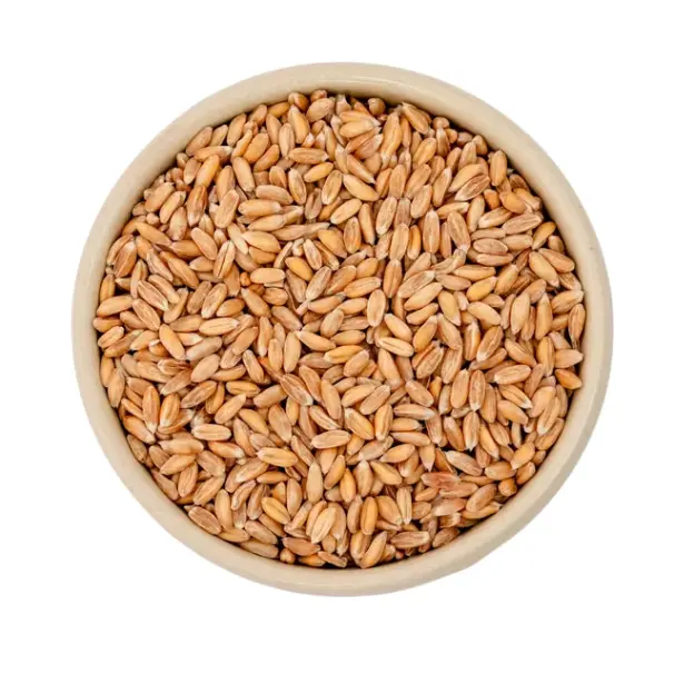 [PV.1101.B25] spelt grains / organic / 25 kg